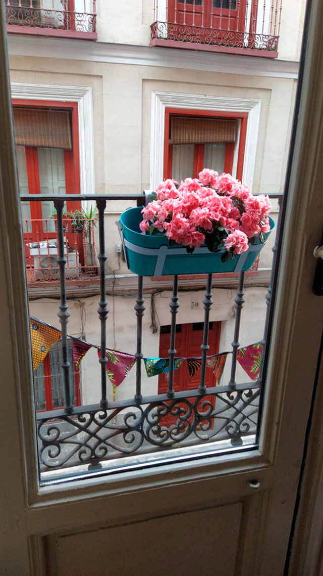 balconen40tena
