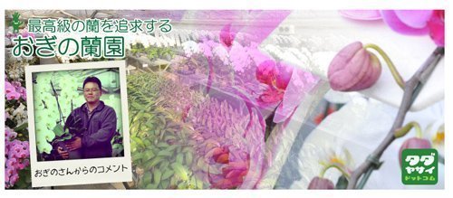 image title thumb image