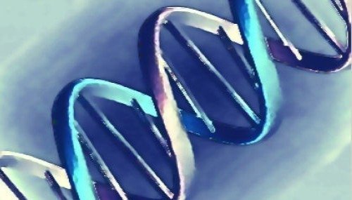 image title thumb image