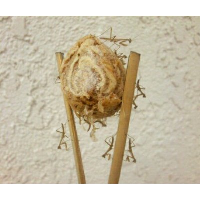 thumb image