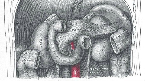 thumb image