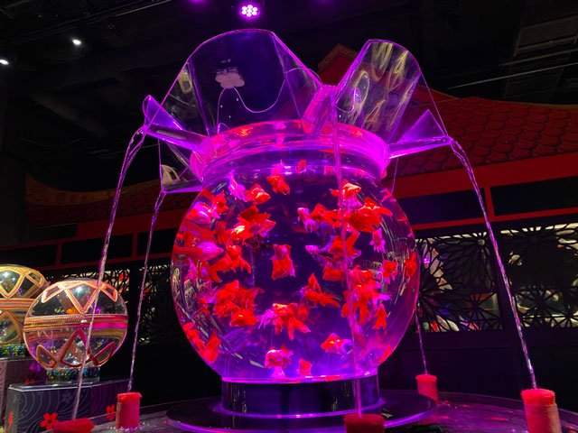 Art Aquarium de Japón