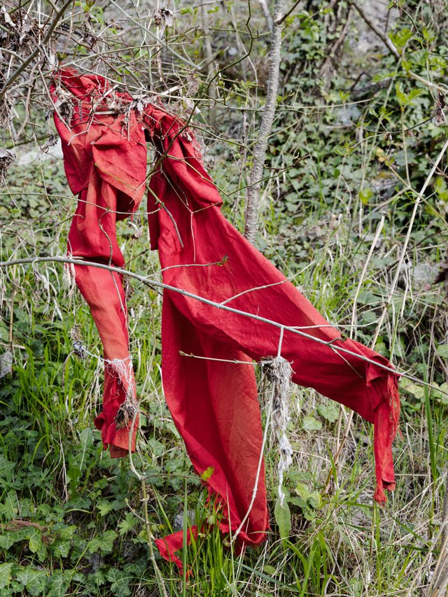 ¿Qué es el tercer paisaje y por qué podría ayudar a salvar el planeta?