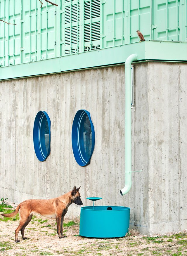 arquitectura multiespecie educan