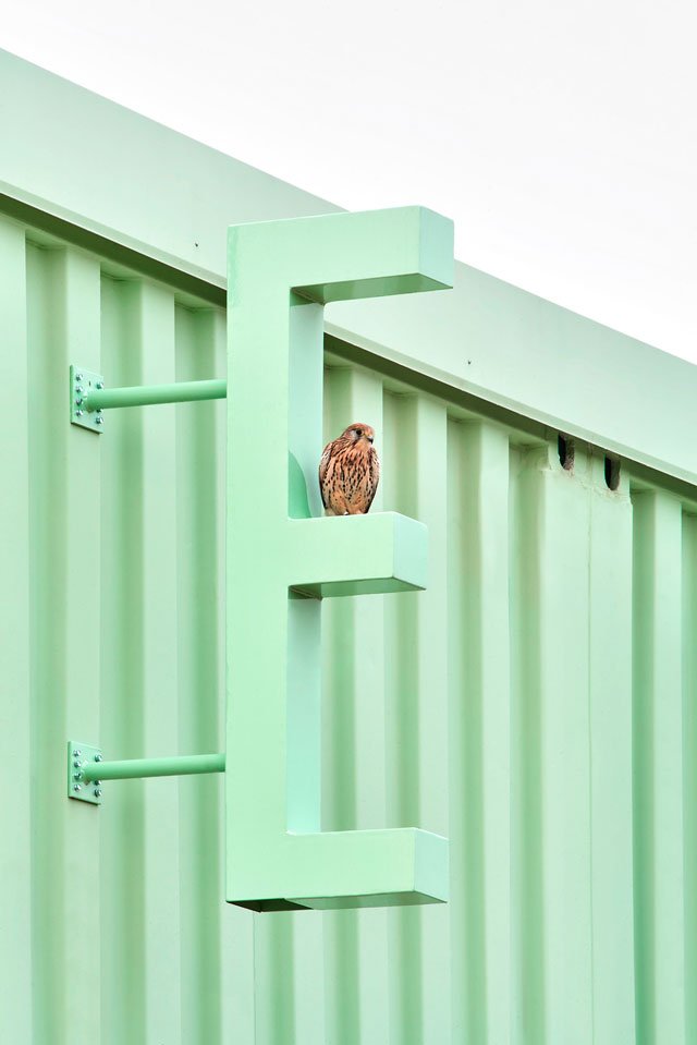 arquitectura multiespecie educan