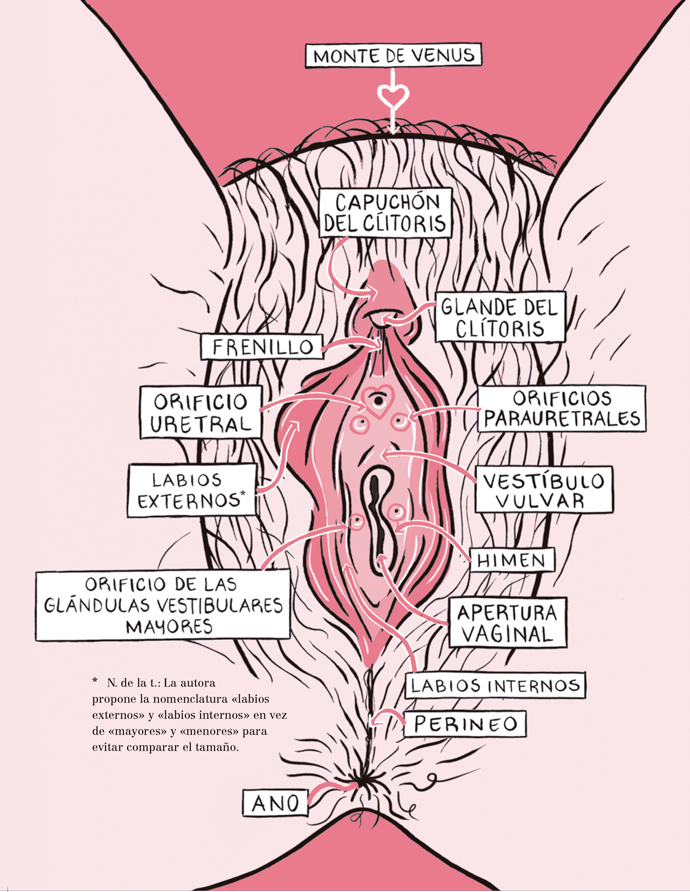 Pussypedia