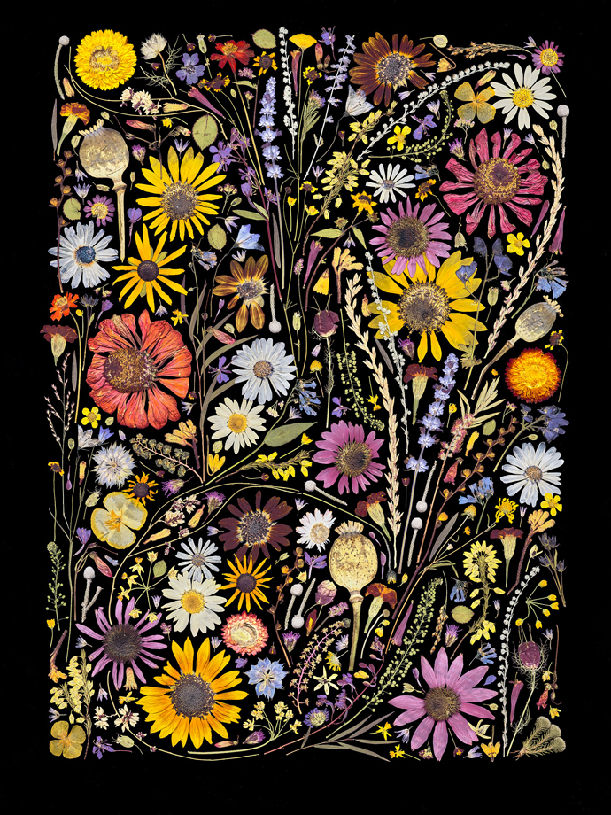 Flower Press Studio, flores prensadas convertidas en cuadros